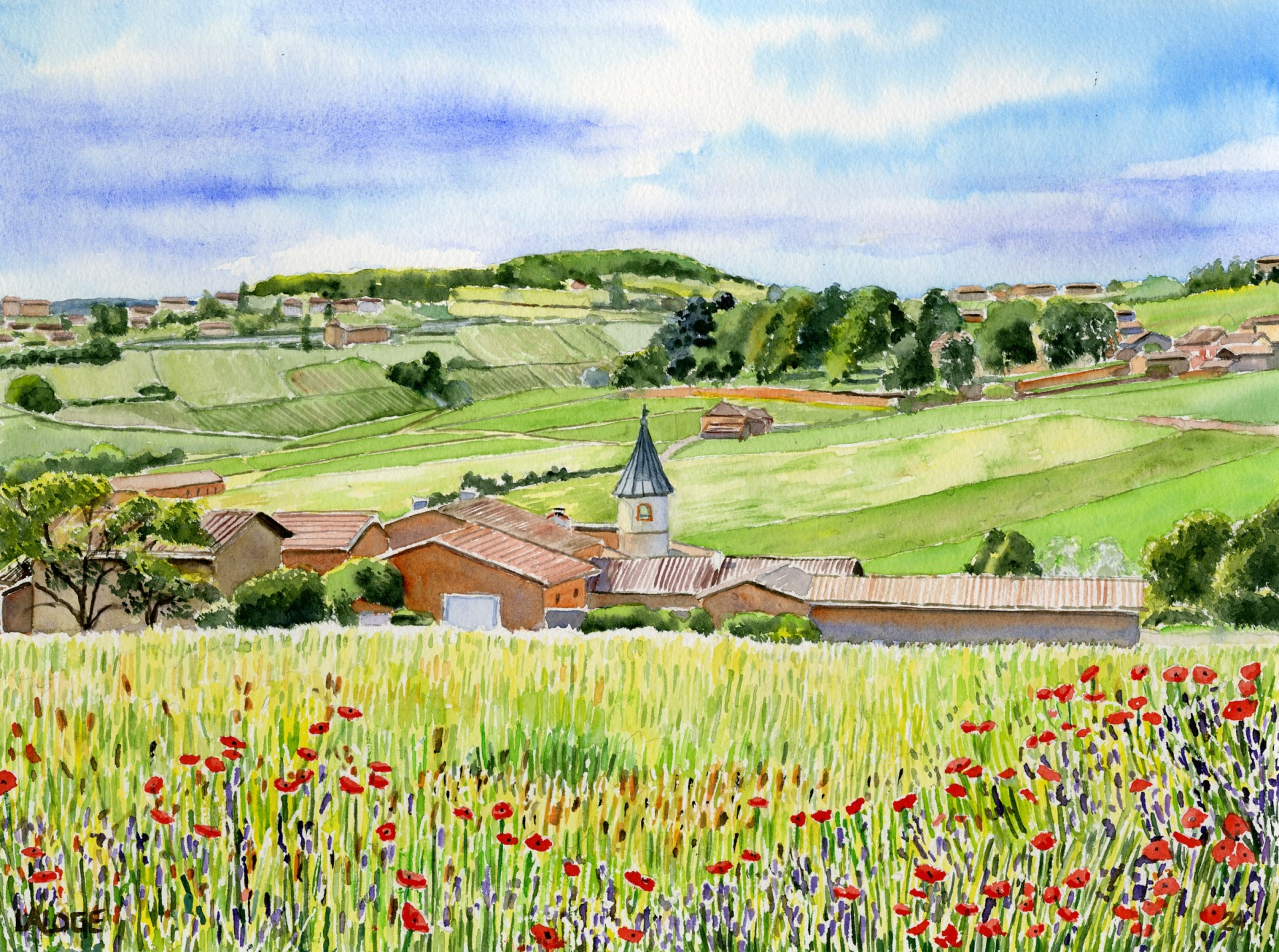 2024-26 - Beaujolais Jarnioux la Roitière  - cadre 40x50 - S 1